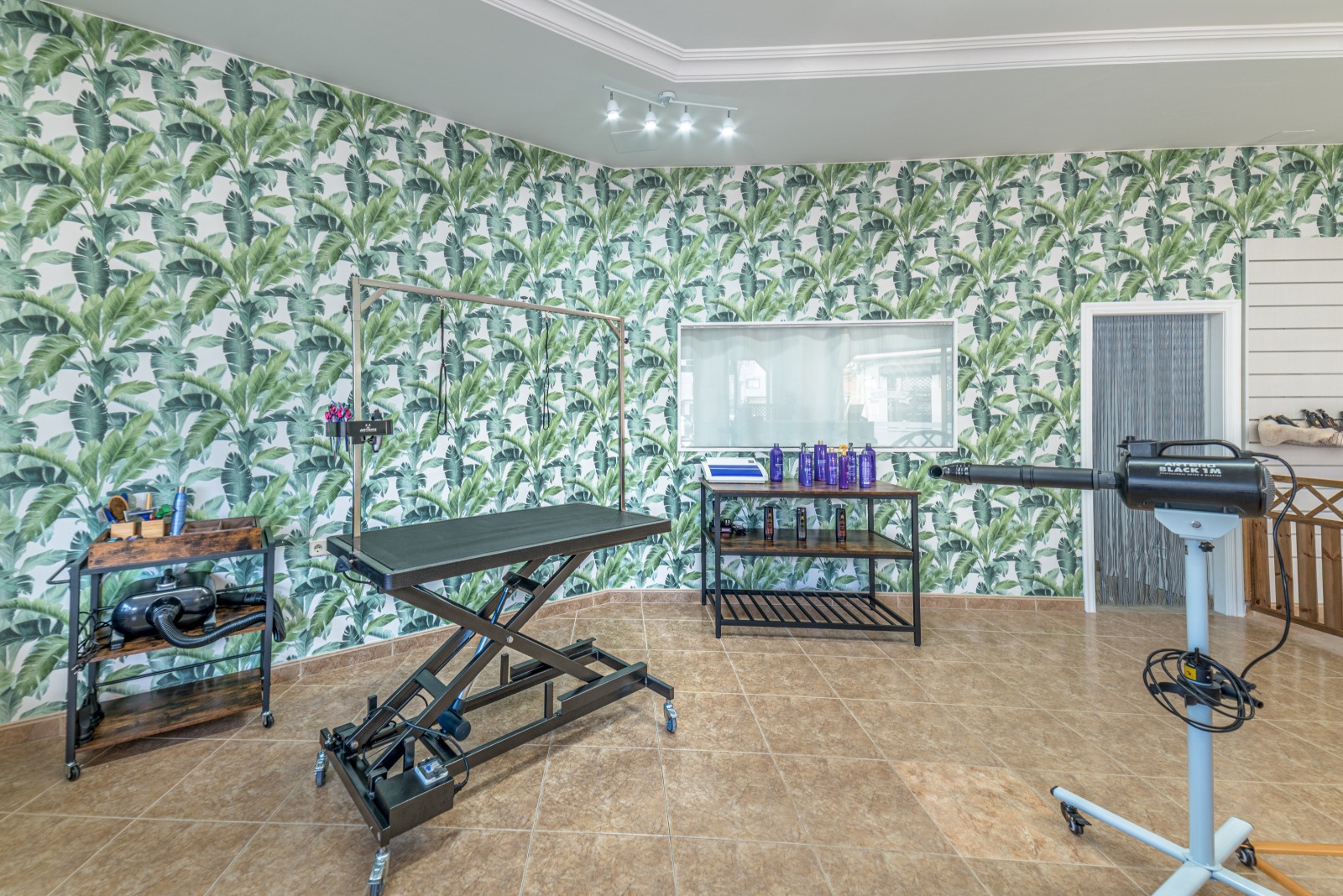 Zona de Corte Le Petit Can